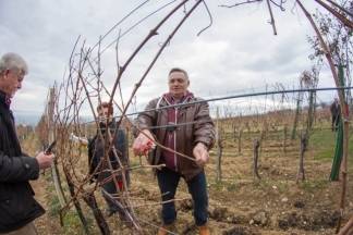 Vincelovo kod Ive Žuljevića (Metalija-trans) u Dragi, 30.1.2016.