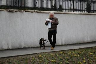 Subotnja šetnja gradom: Požega, 20.2.2016.