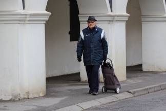 Subotnja šetnja gradom: Požega, 20.2.2016.