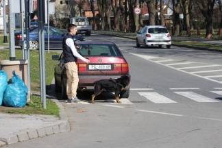 Sunčana šetnja gradom: Pleternica i Kutjevo, 2.3.2016.