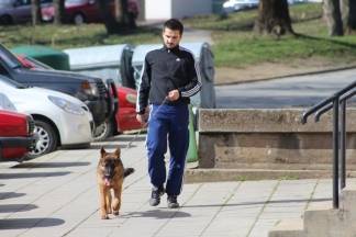 Sunčana šetnja gradom: Pleternica i Kutjevo, 2.3.2016.