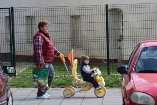 Šetnja Kutjevom i Pleternicom, 9.3.2016.