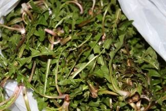 Ponuda na požeškoj tržnici, 10.3.2016.