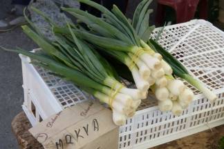 Ponuda četvrtkom na požeškoj tržnici, 7.4.2016.