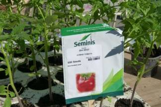 Ponuda četvrtkom na požeškoj tržnici, 7.4.2016.