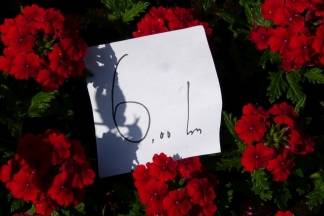 Ponuda četvrtkom na požeškoj tržnici, 7.4.2016.