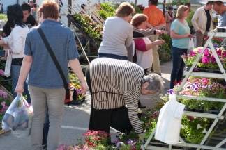 Ponuda četvrtkom na požeškoj tržnici, 7.4.2016.
