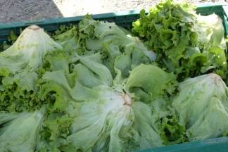 Ponuda četvrtkom na požeškoj tržnici, 7.4.2016.