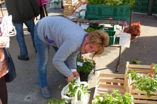 Ponuda četvrtkom na požeškoj tržnici, 7.4.2016.