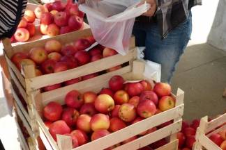 Ponuda četvrtkom na požeškoj tržnici, 7.4.2016.