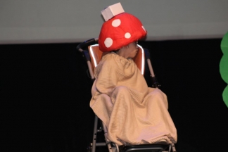 2. Festival dramskih skupina, KaZlaDo