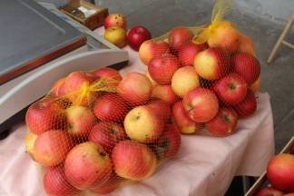 Ponuda četvrtkom na požeškoj tržnici, 19.05.2016.
