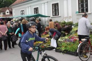Ponuda četvrtkom na požeškoj tržnici, 19.05.2016.