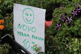 Ponuda četvrtkom na požeškoj tržnici, 19.05.2016.