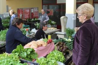 Ponuda četvrtkom na požeškoj tržnici, 19.05.2016.