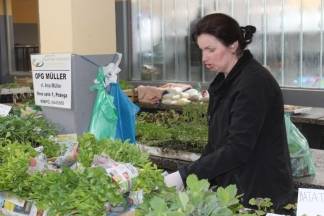 Ponuda četvrtkom na požeškoj tržnici, 19.05.2016.