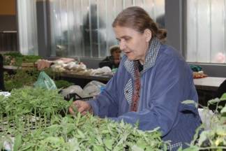 Ponuda četvrtkom na požeškoj tržnici, 19.05.2016.