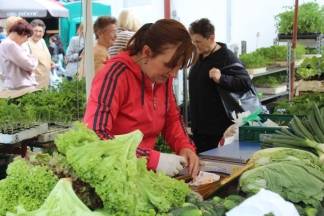 Ponuda četvrtkom na požeškoj tržnici, 19.05.2016.