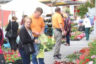 Ponuda četvrtkom na požeškoj tržnici, 19.05.2016.