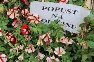 Ponuda četvrtkom na požeškoj tržnici, 19.05.2016.