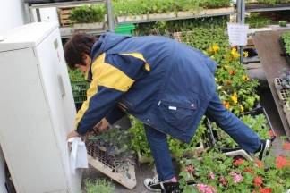 Ponuda četvrtkom na požeškoj tržnici, 19.05.2016.