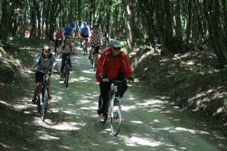 Pumina biciklijada Tomislav Šedevi, 28.5.2016.