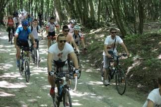 Pumina biciklijada Tomislav Šedevi, 28.5.2016.