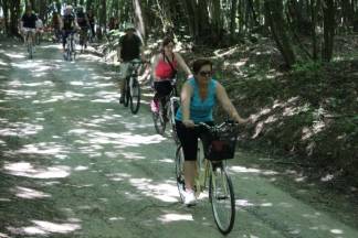 Pumina biciklijada Tomislav Šedevi, 28.5.2016.