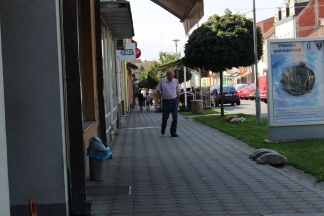 Sunčana šetnja Pleternicom 29.07.2016.