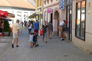 Sunčana šetnja Požegom 30.07.2016.