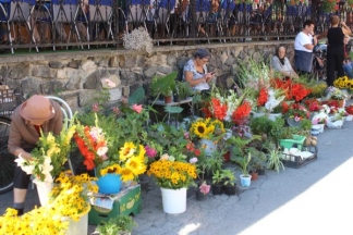 Ponuda četvrtkom na požeškoj tržnici: 4.8.2016.