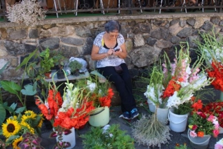 Ponuda četvrtkom na požeškoj tržnici: 4.8.2016.