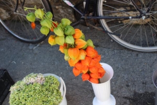 Ponuda četvrtkom na požeškoj tržnici: 4.8.2016.