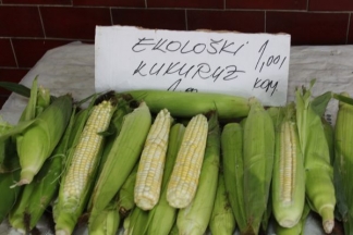 Ponuda četvrtkom na požeškoj tržnici: 4.8.2016.