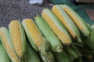 Ponuda četvrtkom na požeškoj tržnici: 4.8.2016.