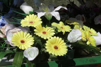 Ponuda četvrtkom na požeškoj tržnici: 4.8.2016.