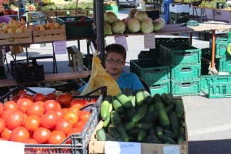 Ponuda četvrtkom na požeškoj tržnici: 4.8.2016.