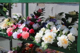 Ponuda četvrtkom na požeškoj tržnici: 4.8.2016.