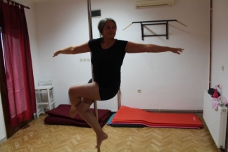 ¨Pole dance¨(ples na šipci) u požeškom studiju ¨Allegra¨: 8.8.2016.