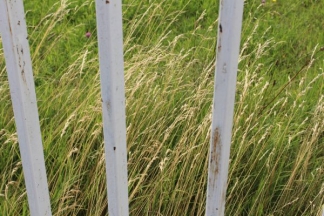 Nekad ponos danas pustoš: nogometni stadion i bazeni u Velikoj