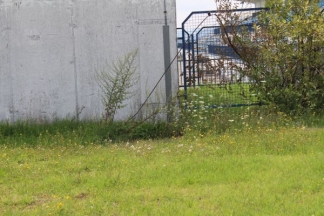 Nekad ponos danas pustoš: nogometni stadion i bazeni u Velikoj