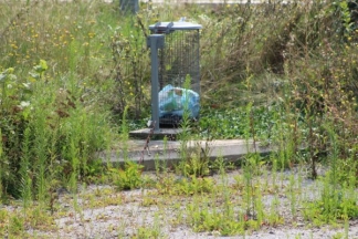Nekad ponos danas pustoš: nogometni stadion i bazeni u Velikoj