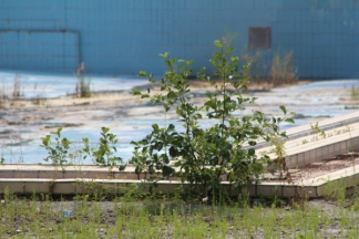 Nekad ponos danas pustoš: nogometni stadion i bazeni u Velikoj