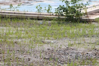 Nekad ponos danas pustoš: nogometni stadion i bazeni u Velikoj