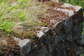 Nekad ponos danas pustoš: nogometni stadion i bazeni u Velikoj