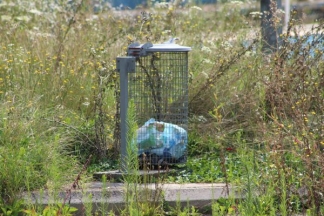 Nekad ponos danas pustoš: nogometni stadion i bazeni u Velikoj