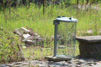 Nekad ponos danas pustoš: nogometni stadion i bazeni u Velikoj