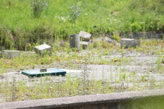 Nekad ponos danas pustoš: nogometni stadion i bazeni u Velikoj