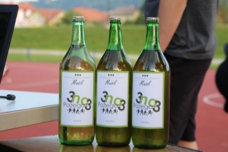 ¨3NA3¨ turnir u košarci na Sportsko rekreacijskom centru Požega:15.8.2016.