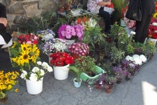 Ponuda četvrtkom na požeškoj tržnici: 25.08.2016.